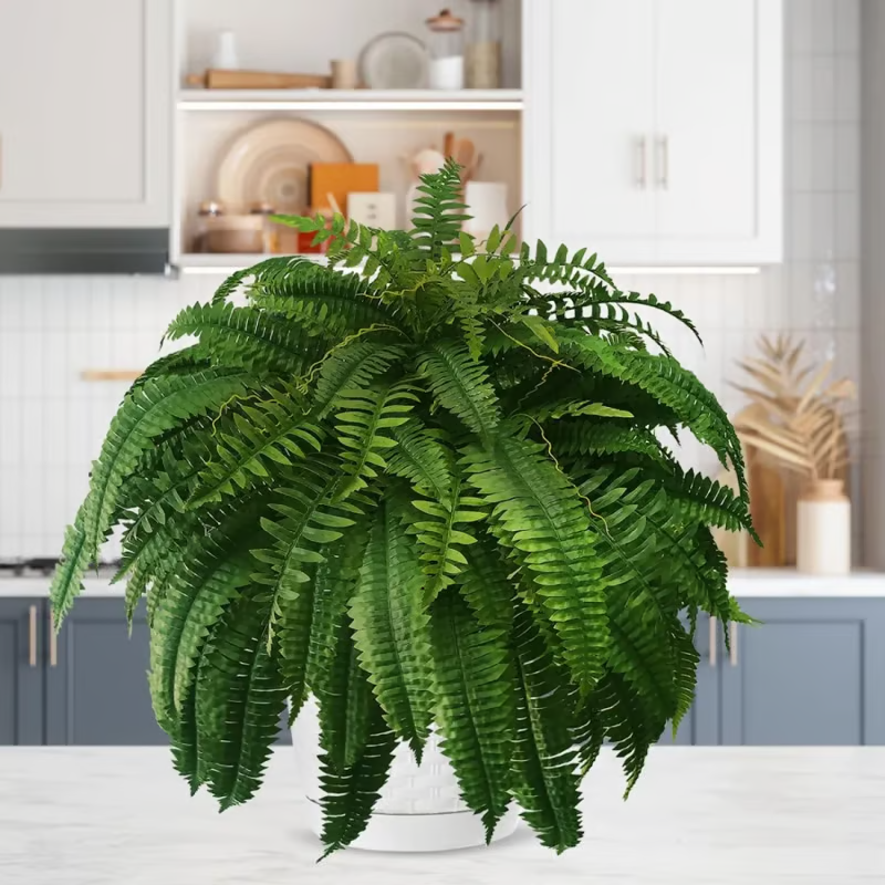 🔥🌿UV Resistant Lifelike Artificial Boston Fern🌿