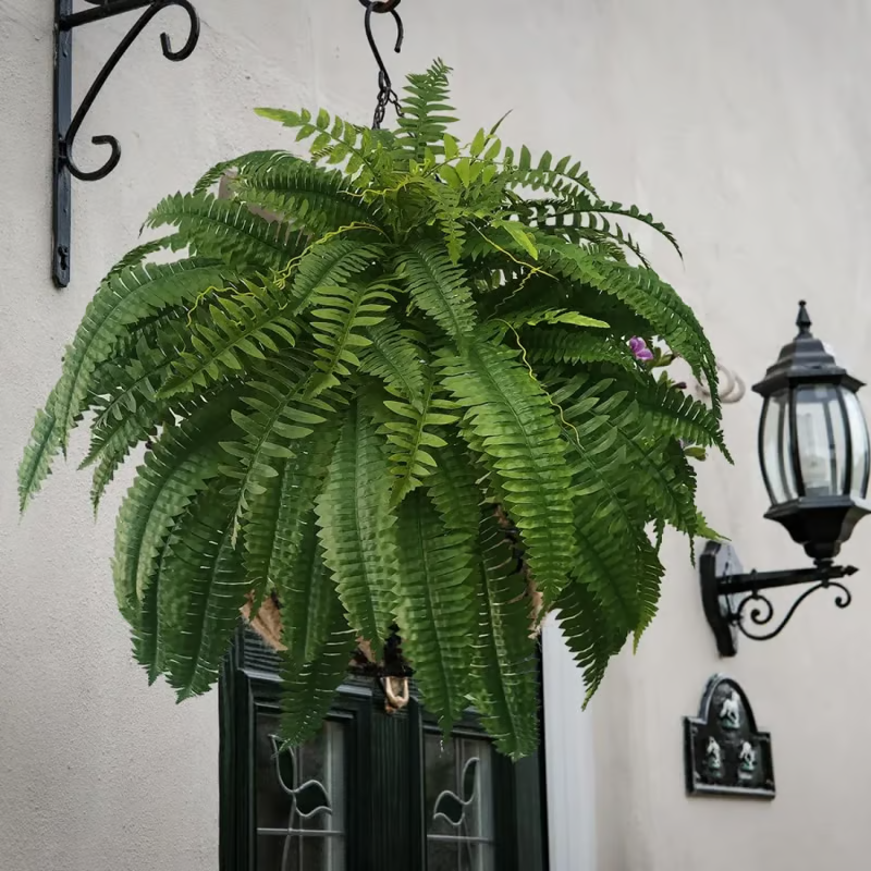 🔥🌿UV Resistant Lifelike Artificial Boston Fern🌿
