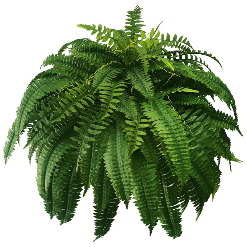 🔥🌿UV Resistant Lifelike Artificial Boston Fern🌿