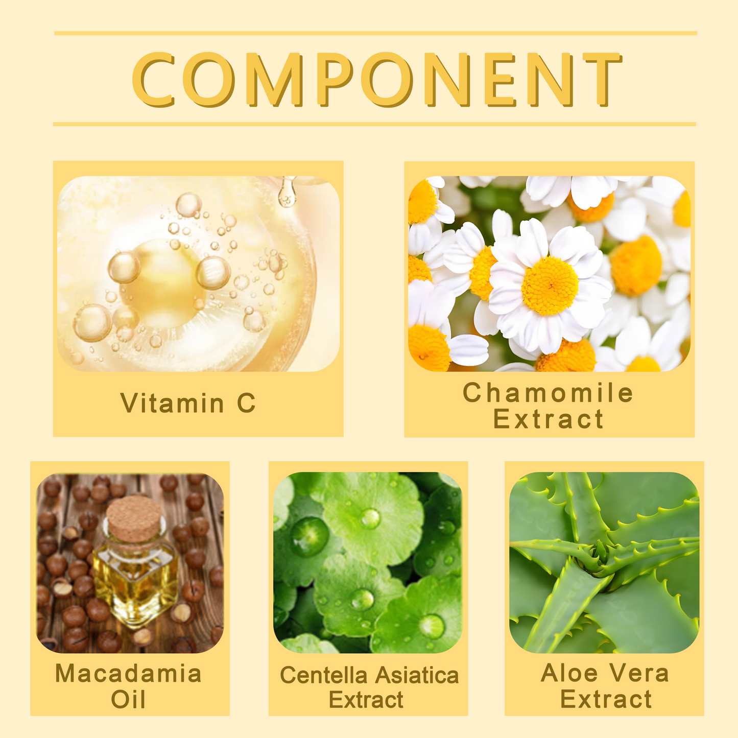 š„š„š„Blizkoxā¢šNatureās Wrinkle Eraser: Macadamia & Peptide Fusion Creamšš„š„š„