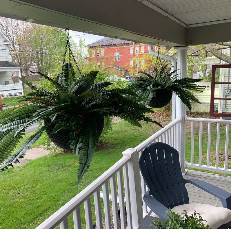 🔥🌿UV Resistant Lifelike Artificial Boston Fern🌿
